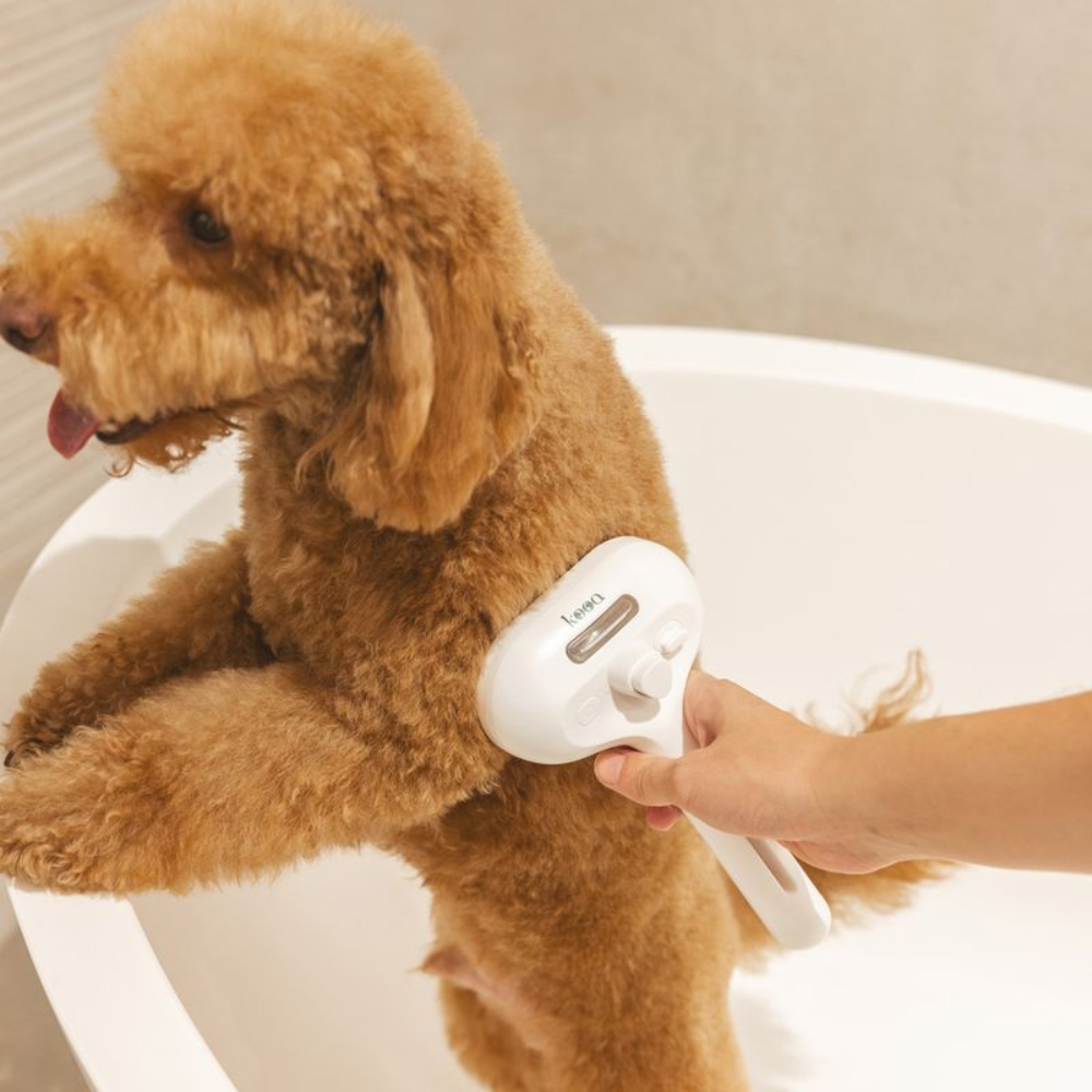 FurEase™ – Spazzola Rimuovi Pelo per Cani e Gatti