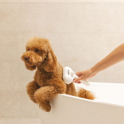 FurEase™ – Spazzola Rimuovi Pelo per Cani e Gatti