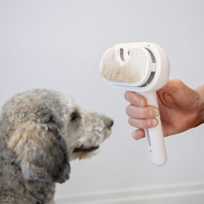 FurEase™ – Spazzola Rimuovi Pelo per Cani e Gatti